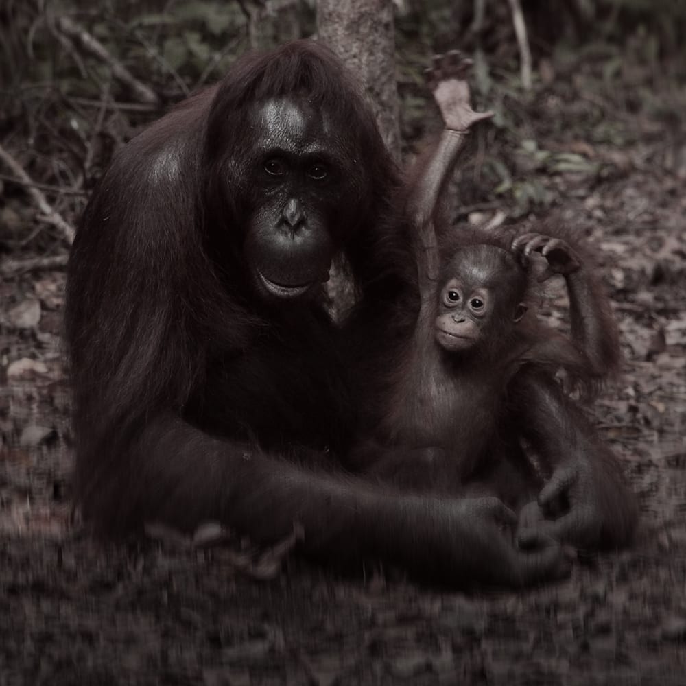 Empfehlungen, Planung & komplette Umsetzung