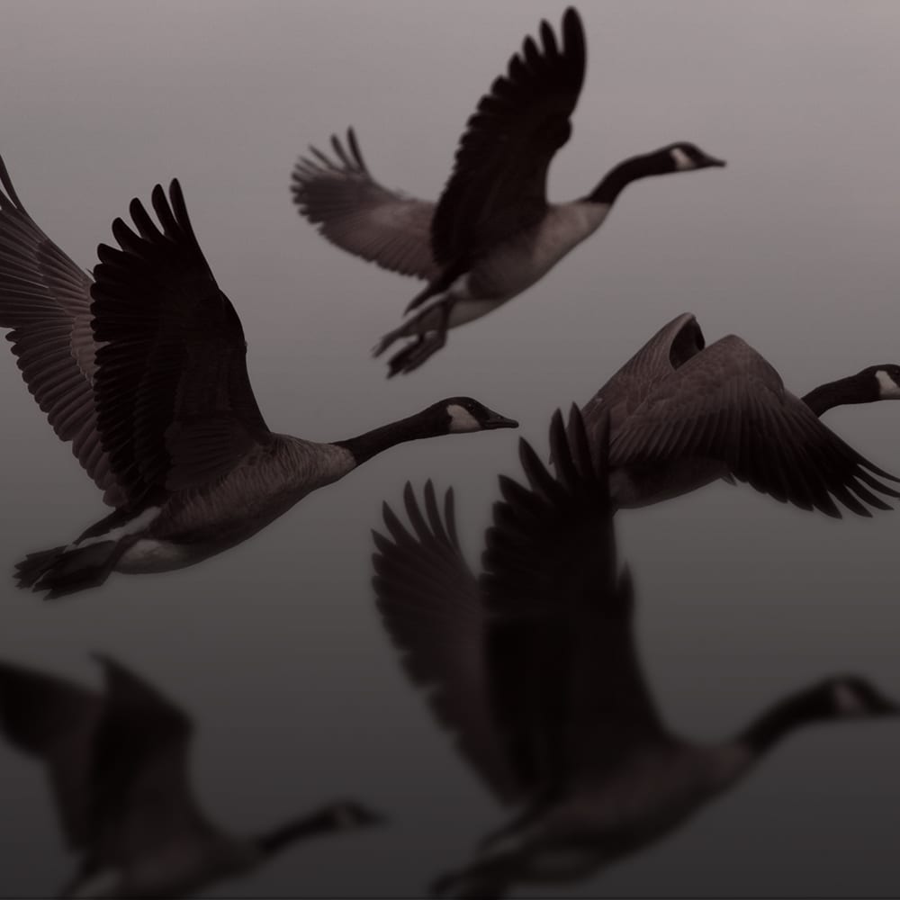 Hochkarätige Inspiration & komplette Planung – lokal & international