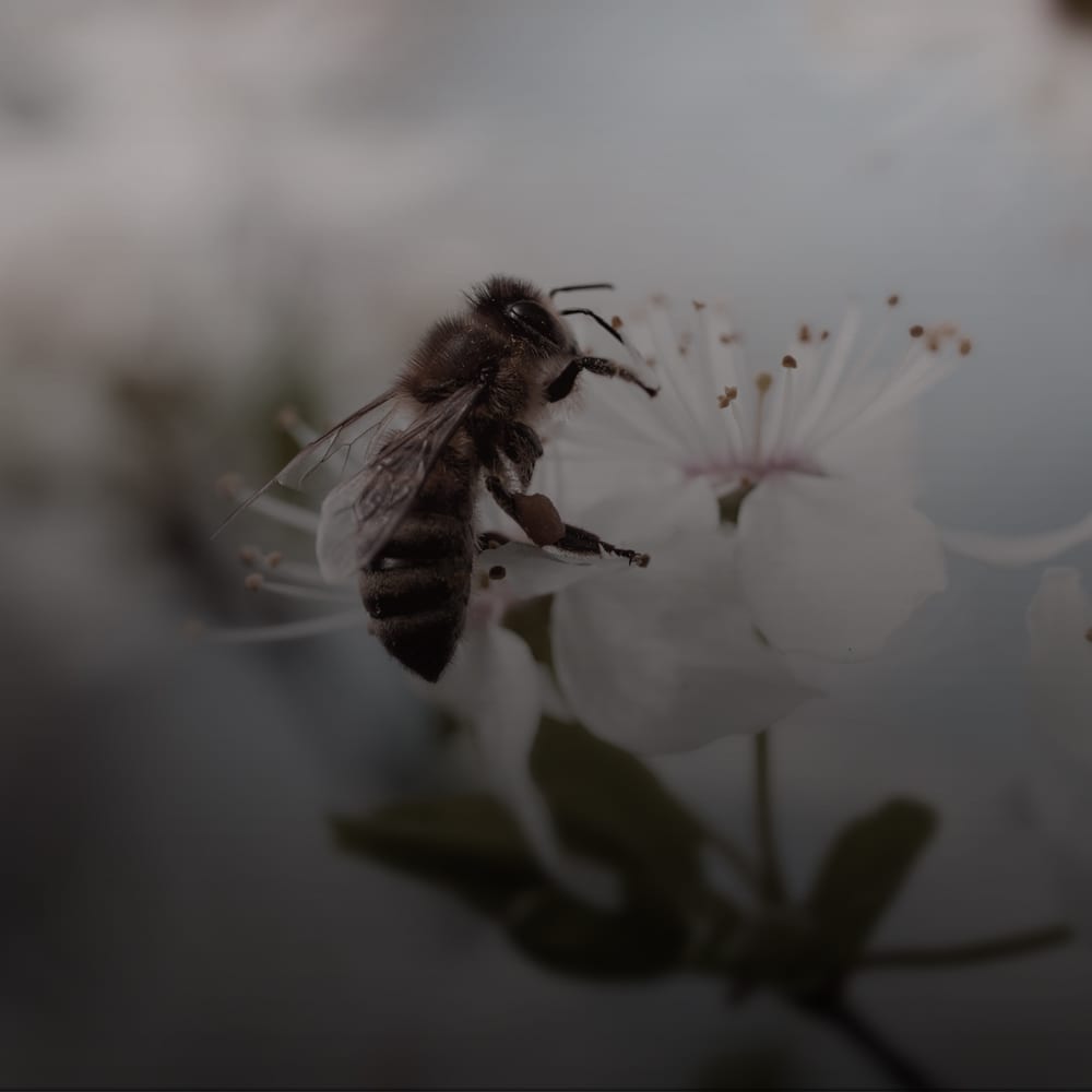 Privatsekretariat, Ordnung, Verwaltung & Orga-Aufgaben…