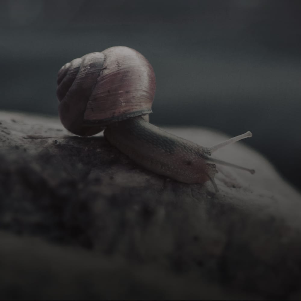 Reparaturen, Haushalt, Deko, Gartendesign & -pflege…