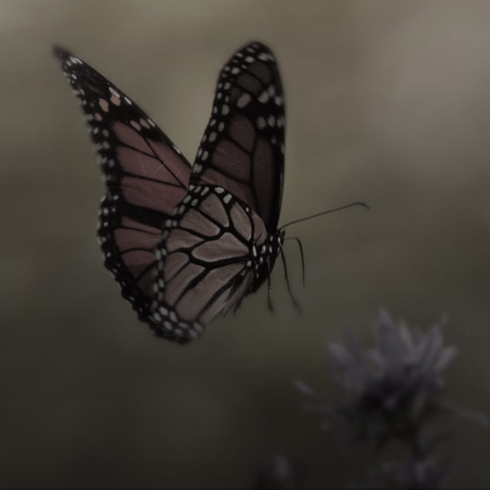 Kreative Beratung, Konzeption, Besorgung & Umsetzung